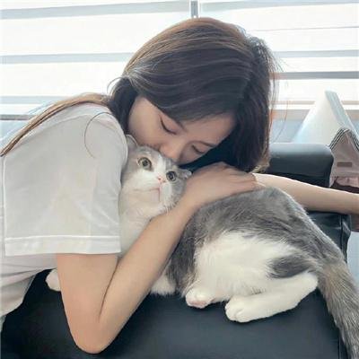 功夫特务